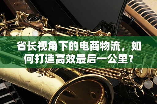 省长视角下的电商物流，如何打造高效最后一公里？