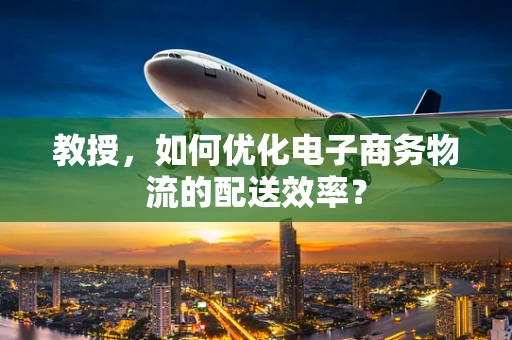 教授，如何优化电子商务物流的配送效率？