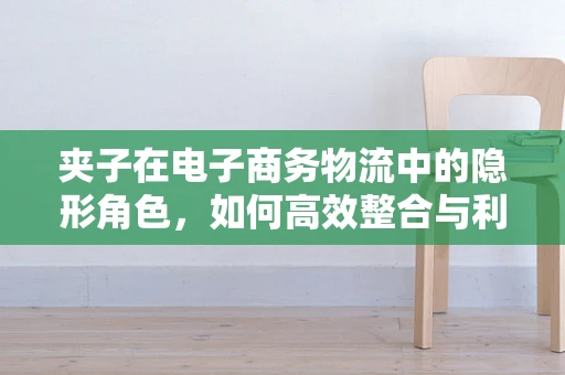 夹子在电子商务物流中的隐形角色，如何高效整合与利用？