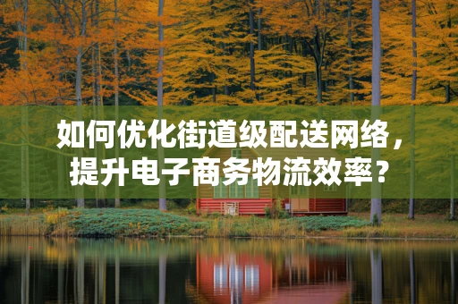 如何优化街道级配送网络，提升电子商务物流效率？