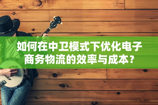 如何在中卫模式下优化电子商务物流的效率与成本？