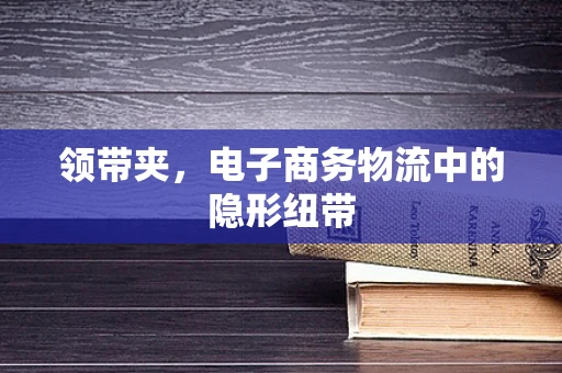领带夹，电子商务物流中的隐形纽带