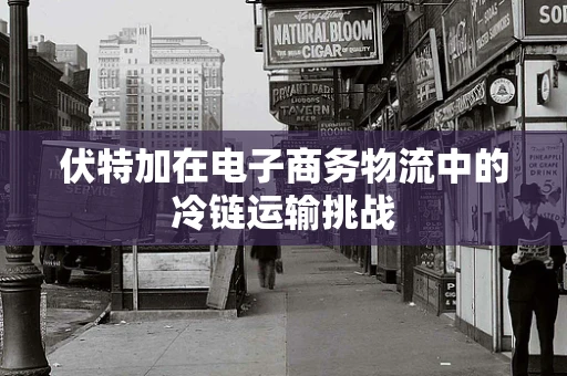 伏特加在电子商务物流中的冷链运输挑战