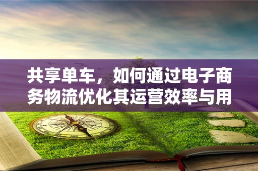 共享单车，如何通过电子商务物流优化其运营效率与用户体验？