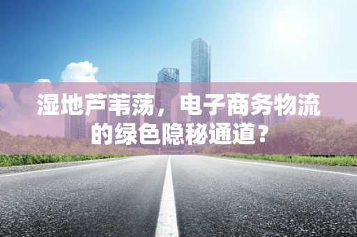 湿地芦苇荡，电子商务物流的绿色隐秘通道？