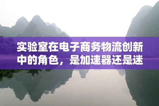 实验室在电子商务物流创新中的角色，是加速器还是迷雾区？