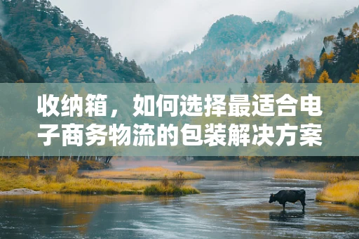 收纳箱，如何选择最适合电子商务物流的包装解决方案？