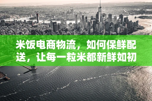 米饭电商物流，如何保鲜配送，让每一粒米都新鲜如初？