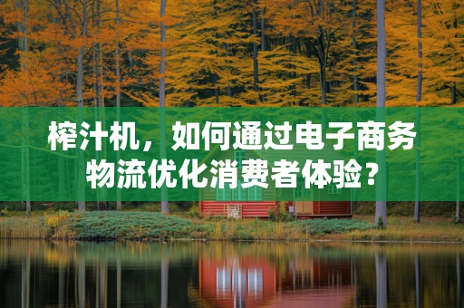 榨汁机，如何通过电子商务物流优化消费者体验？