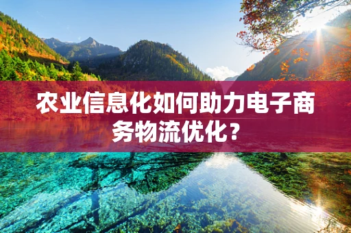 农业信息化如何助力电子商务物流优化？