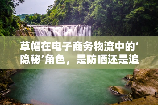 草帽在电子商务物流中的‘隐秘’角色，是防晒还是追踪？