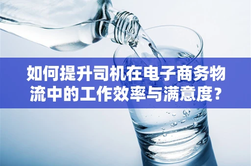 如何提升司机在电子商务物流中的工作效率与满意度？