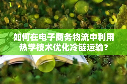 如何在电子商务物流中利用热学技术优化冷链运输？