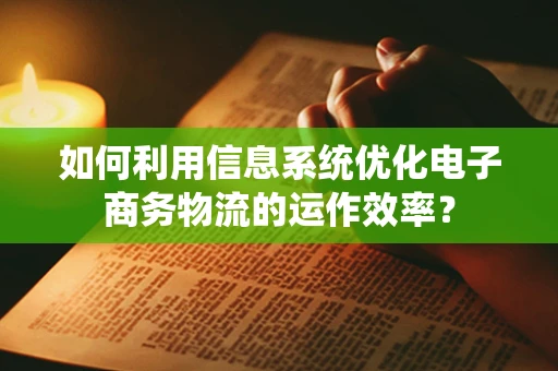 如何利用信息系统优化电子商务物流的运作效率？