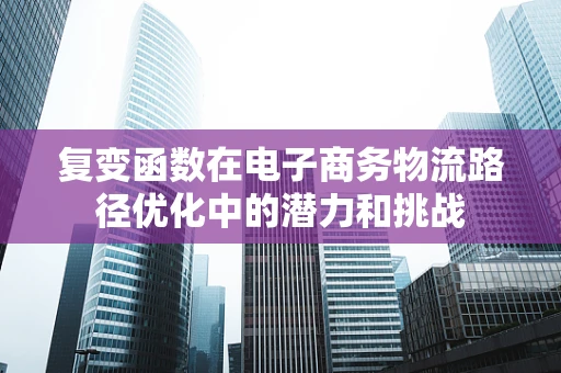 复变函数在电子商务物流路径优化中的潜力和挑战