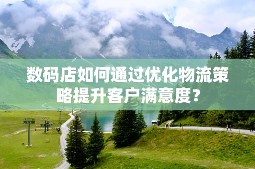 数码店如何通过优化物流策略提升客户满意度？