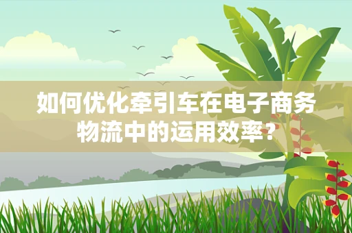 如何优化牵引车在电子商务物流中的运用效率？