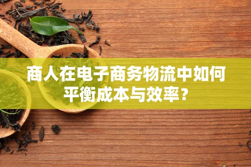 商人在电子商务物流中如何平衡成本与效率？