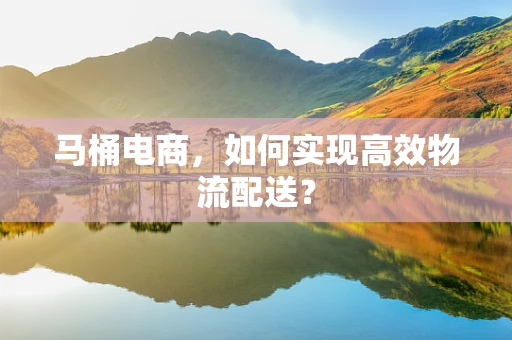 马桶电商，如何实现高效物流配送？