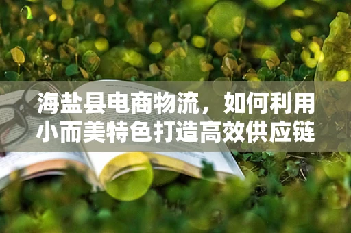 海盐县电商物流，如何利用小而美特色打造高效供应链？