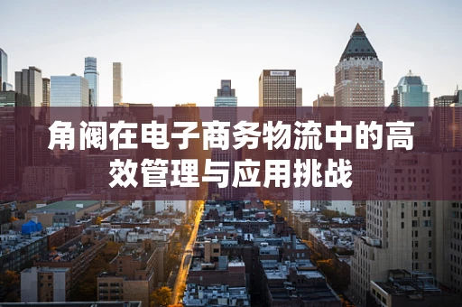 角阀在电子商务物流中的高效管理与应用挑战