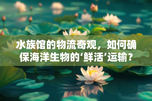 水族馆的物流奇观，如何确保海洋生物的‘鲜活’运输？