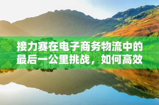 接力赛在电子商务物流中的最后一公里挑战，如何高效传递？