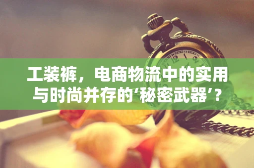 工装裤，电商物流中的实用与时尚并存的‘秘密武器’？