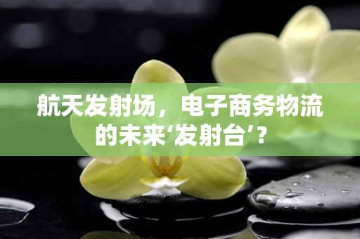 航天发射场，电子商务物流的未来‘发射台’？