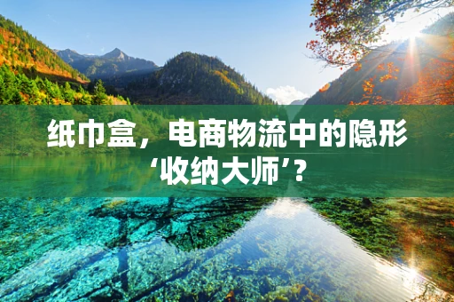 纸巾盒，电商物流中的隐形‘收纳大师’？