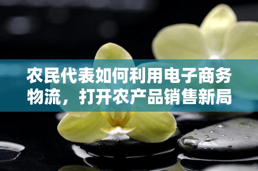 农民代表如何利用电子商务物流，打开农产品销售新局面？