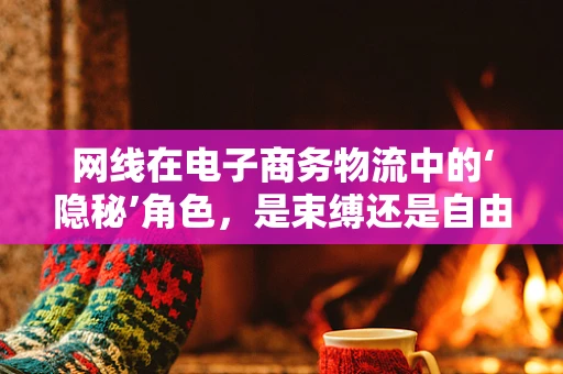 网线在电子商务物流中的‘隐秘’角色，是束缚还是自由？