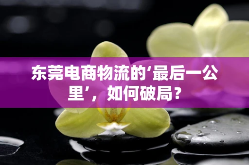 东莞电商物流的‘最后一公里’，如何破局？