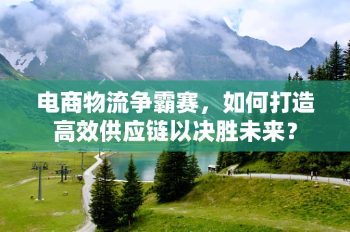 电商物流争霸赛，如何打造高效供应链以决胜未来？