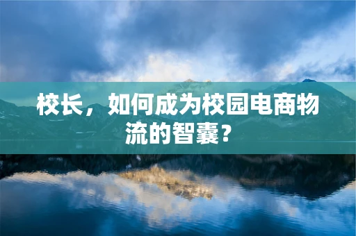 校长，如何成为校园电商物流的智囊？