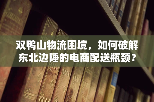 双鸭山物流困境，如何破解东北边陲的电商配送瓶颈？