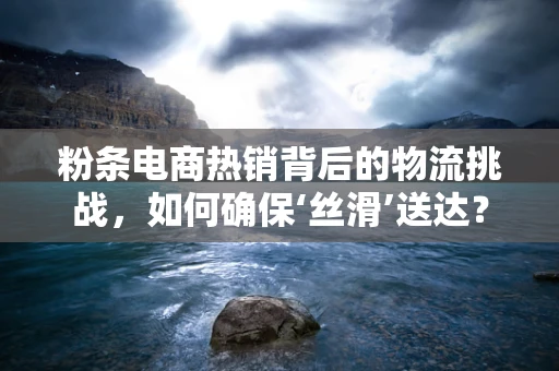 粉条电商热销背后的物流挑战，如何确保‘丝滑’送达？