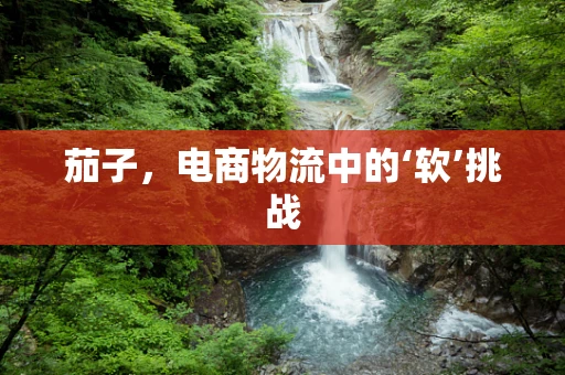 茄子，电商物流中的‘软’挑战
