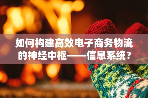 如何构建高效电子商务物流的神经中枢——信息系统？