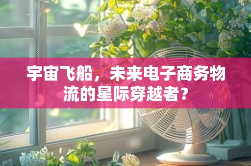 宇宙飞船，未来电子商务物流的星际穿越者？