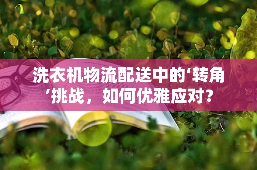 洗衣机物流配送中的‘转角’挑战，如何优雅应对？