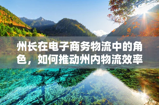 州长在电子商务物流中的角色，如何推动州内物流效率与经济发展？