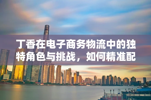 丁香在电子商务物流中的独特角色与挑战，如何精准配送？