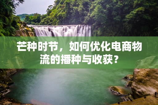 芒种时节，如何优化电商物流的播种与收获？