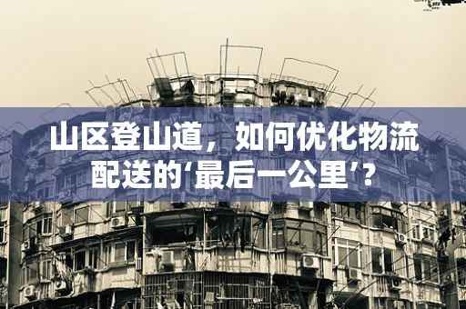 山区登山道，如何优化物流配送的‘最后一公里’？