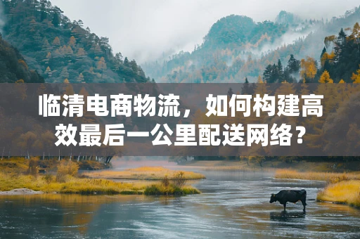 临清电商物流，如何构建高效最后一公里配送网络？