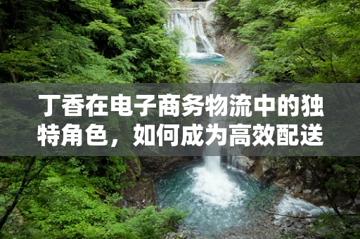 丁香在电子商务物流中的独特角色，如何成为高效配送的秘密武器？