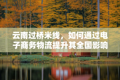 云南过桥米线，如何通过电子商务物流提升其全国影响力？