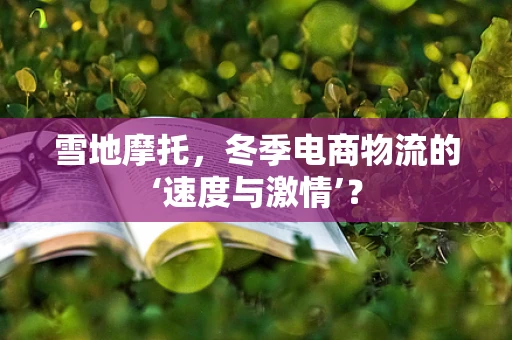 雪地摩托，冬季电商物流的‘速度与激情’？