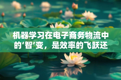 机器学习在电子商务物流中的‘智’变，是效率的飞跃还是数据的陷阱？